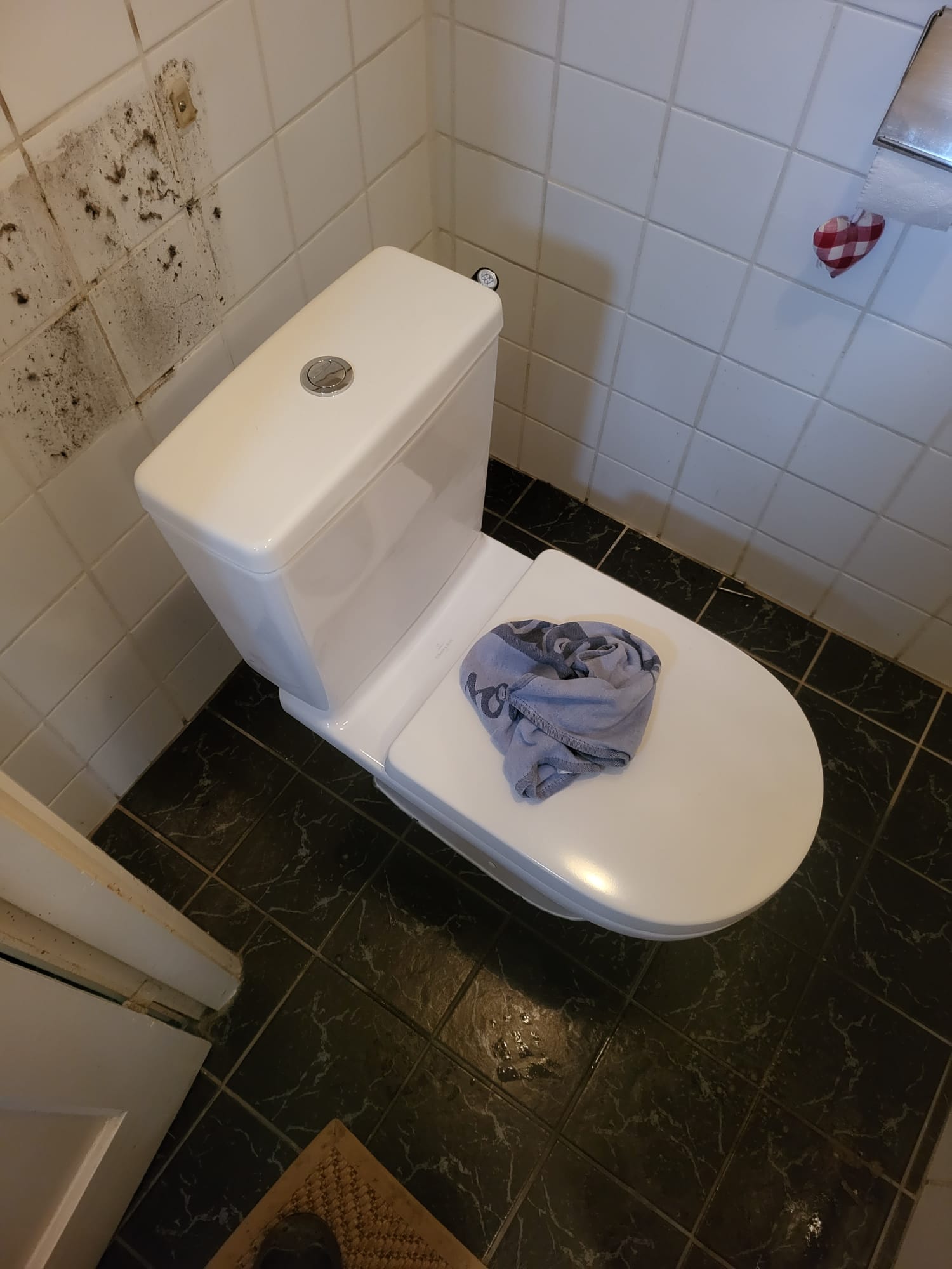 Nieuw duoblok toilet geplaatst