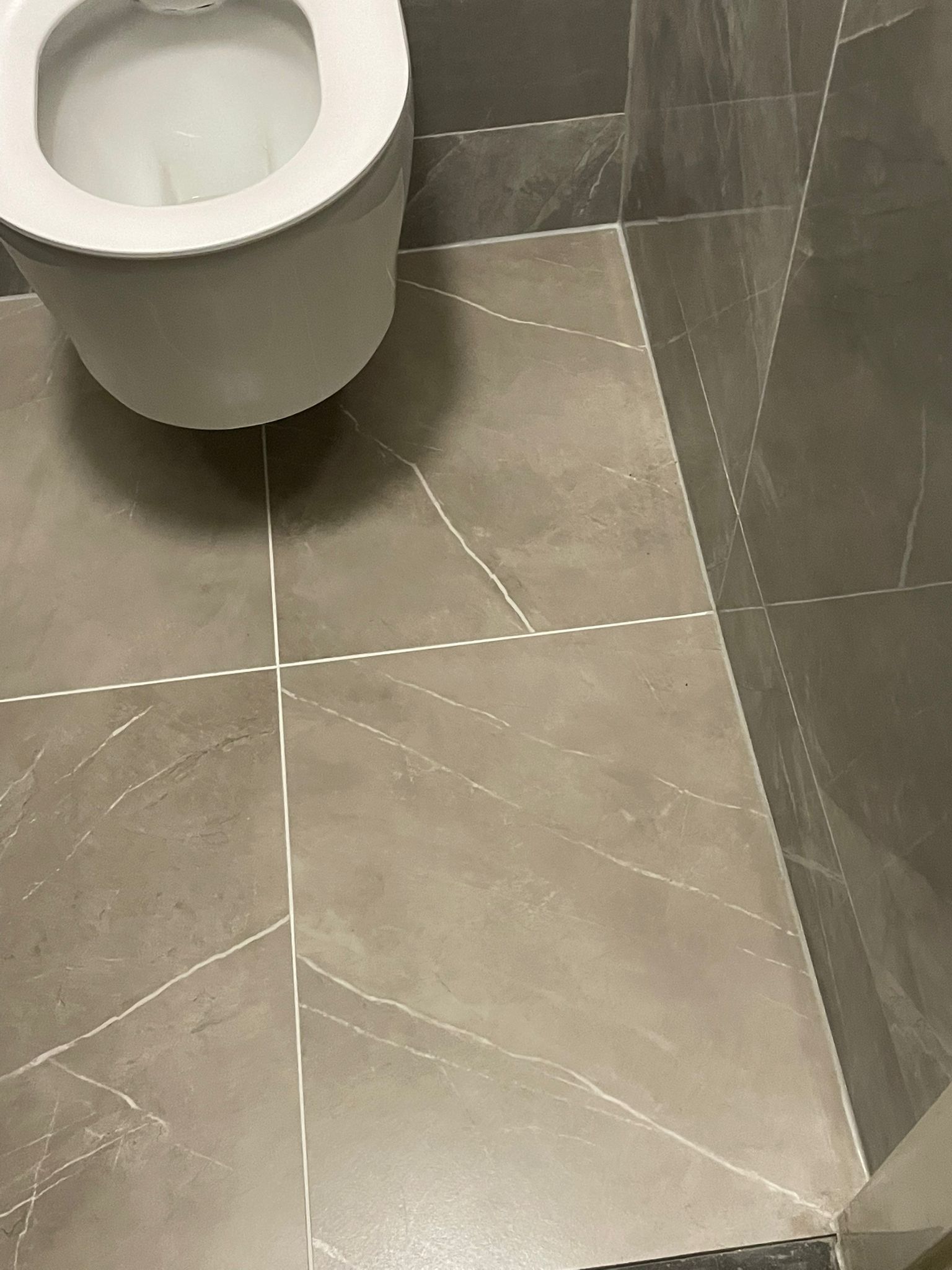 Nieuw toilet geplaatst — marmerlook